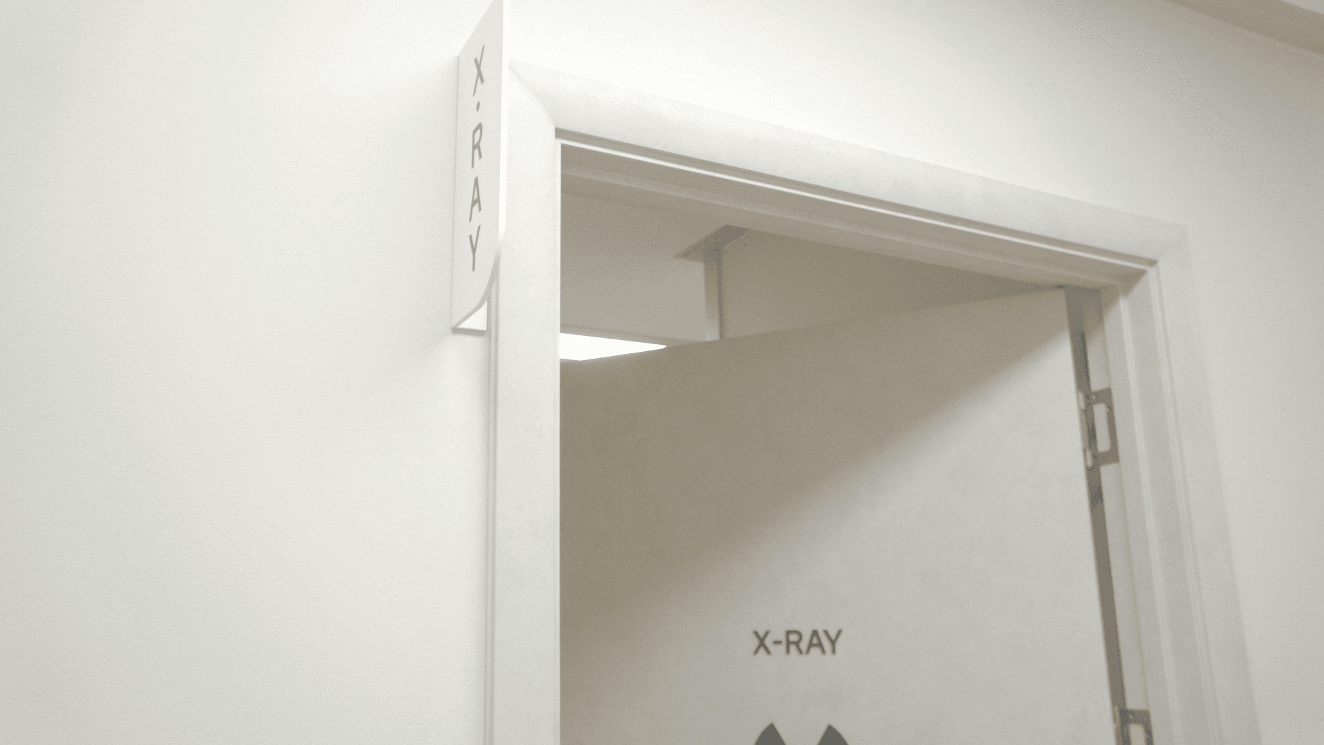 X-RAY실